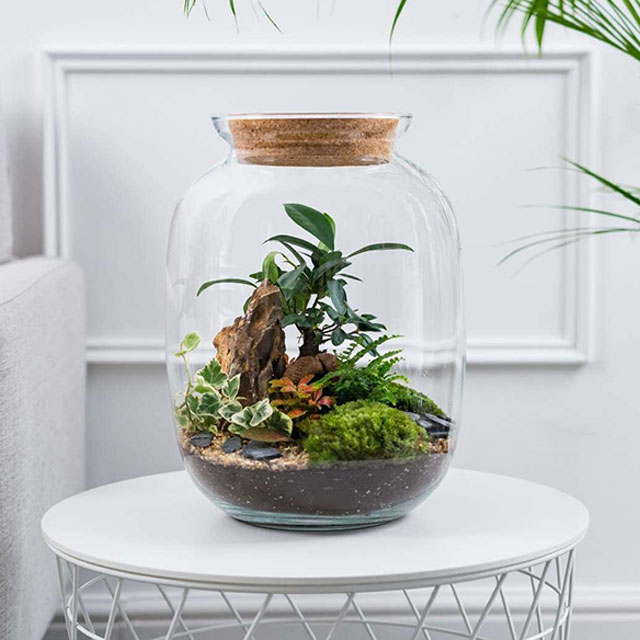 terrarium-2
